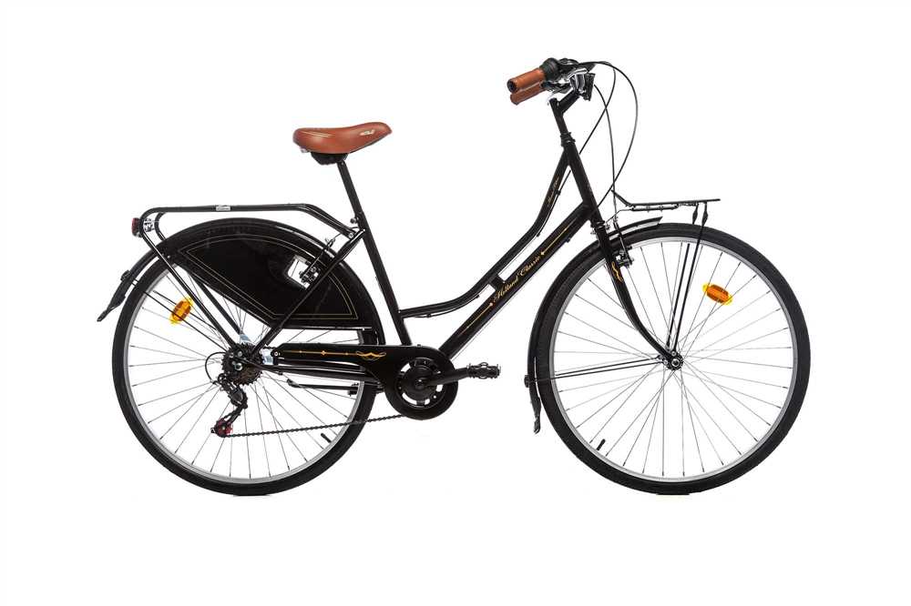 Bicicleta paseo tipo holandesa