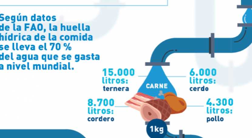 Litros de agua por kilo de carne