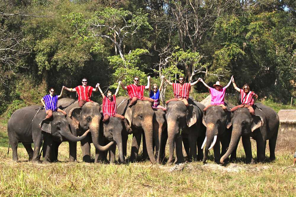 ¿Qué hace a Patara elephant farm ético?